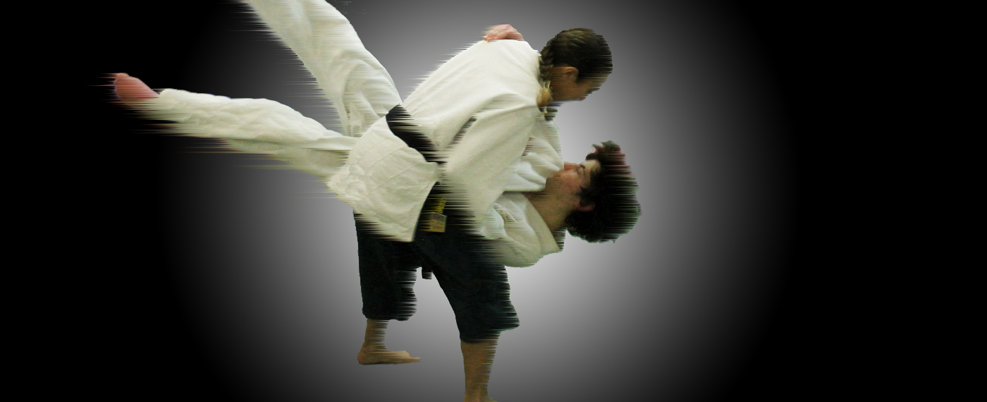 Il Ju Jitsu è...